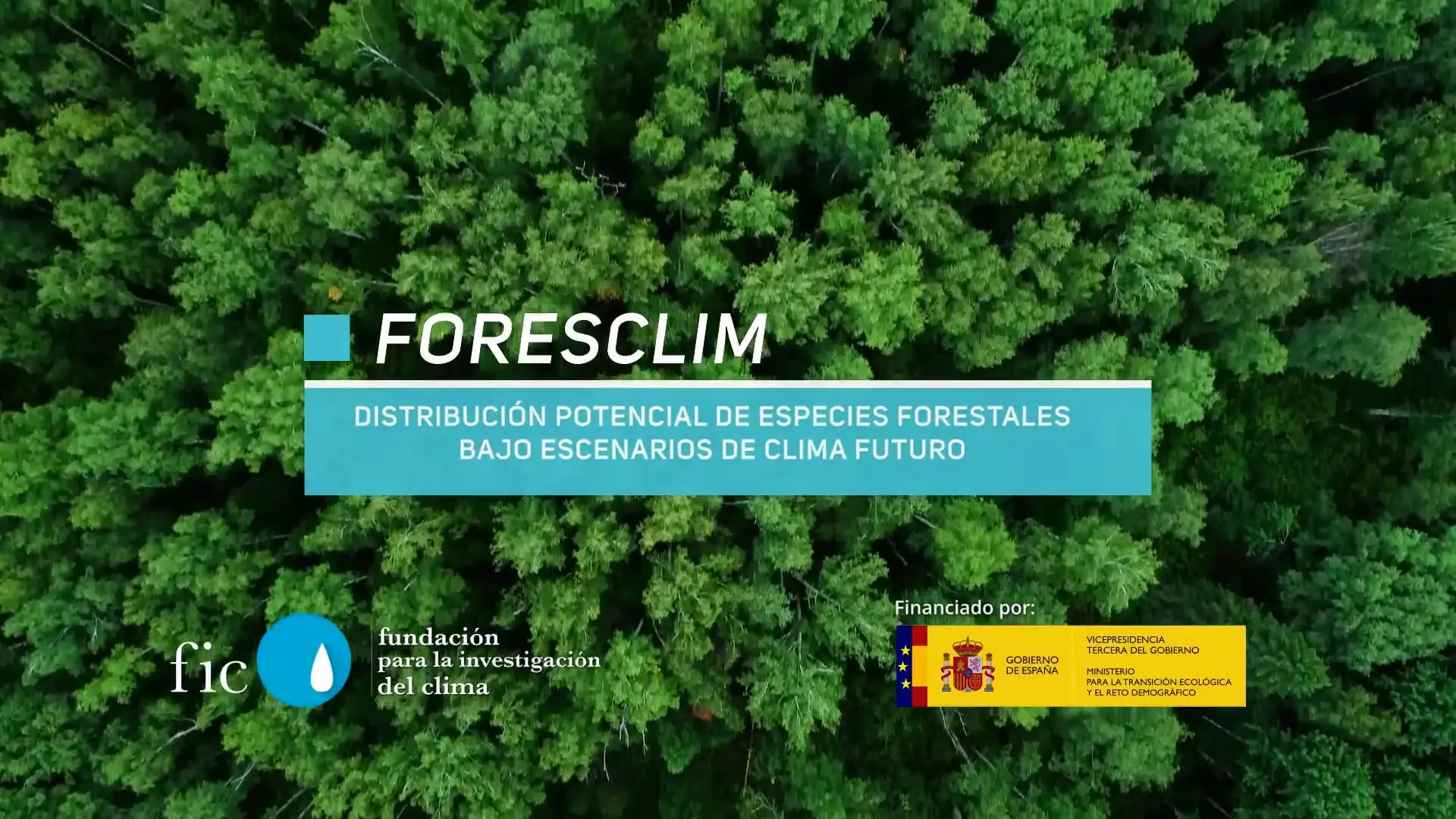 Video Corporativo Foresclim para la FIC